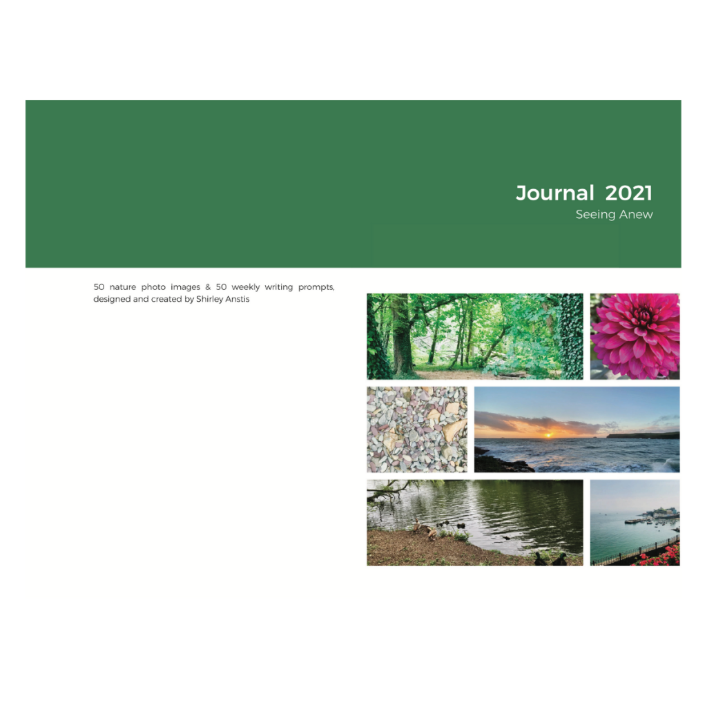 2021 journal